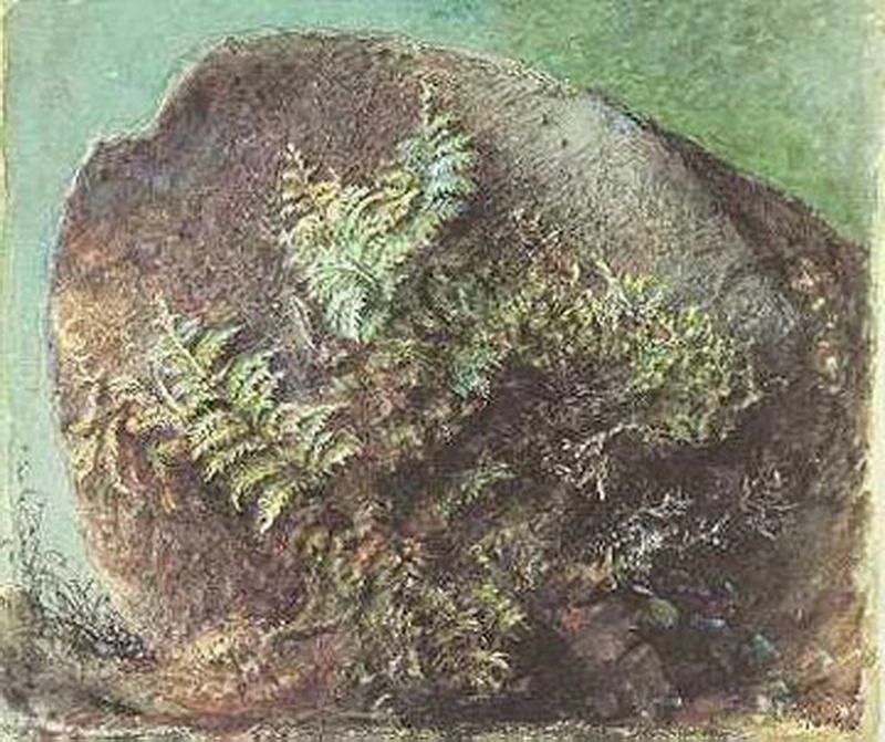 Felci su una roccia, 1875